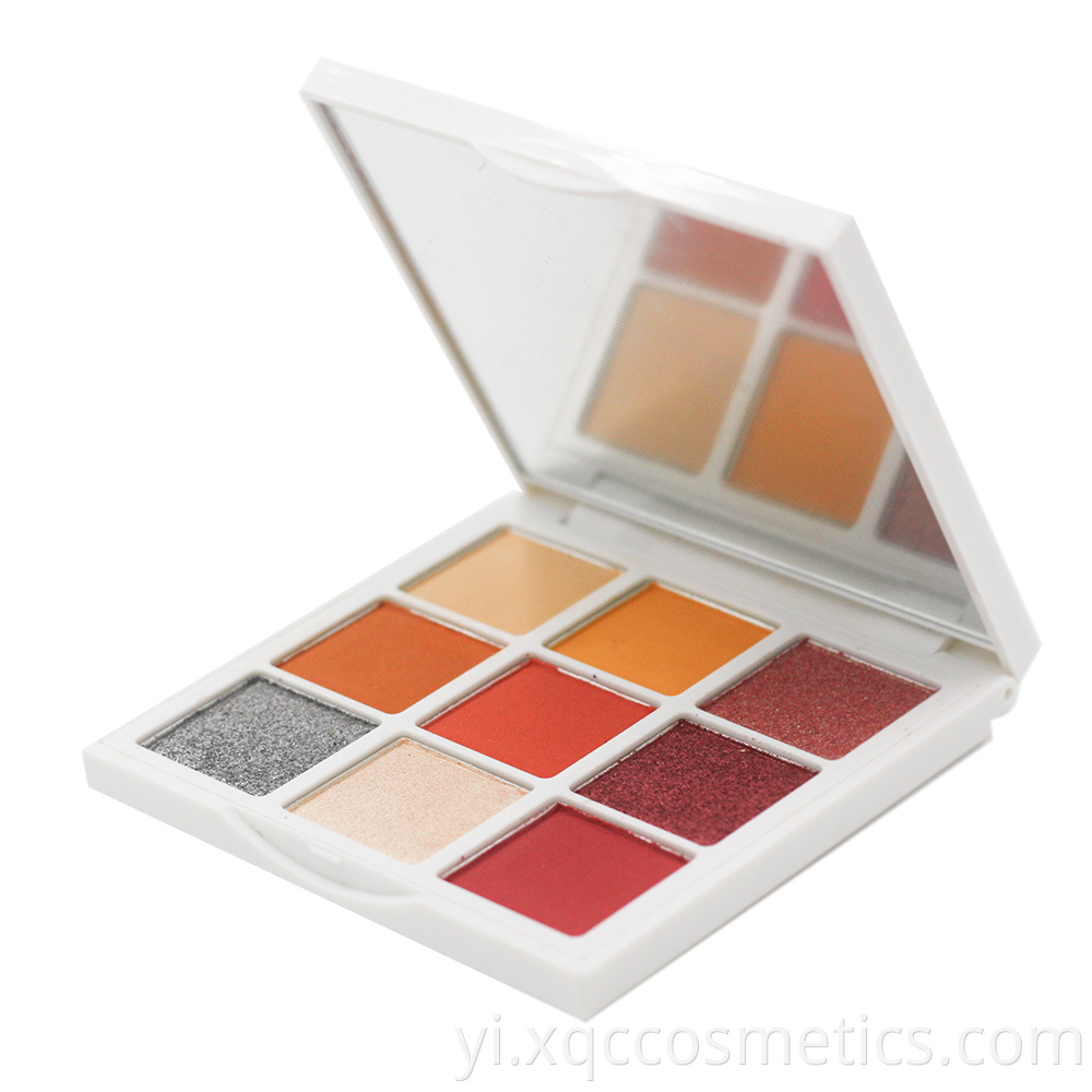 Eye Shadow 9 Clolor2 1000 3